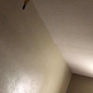 Meet your Posher, Anitra